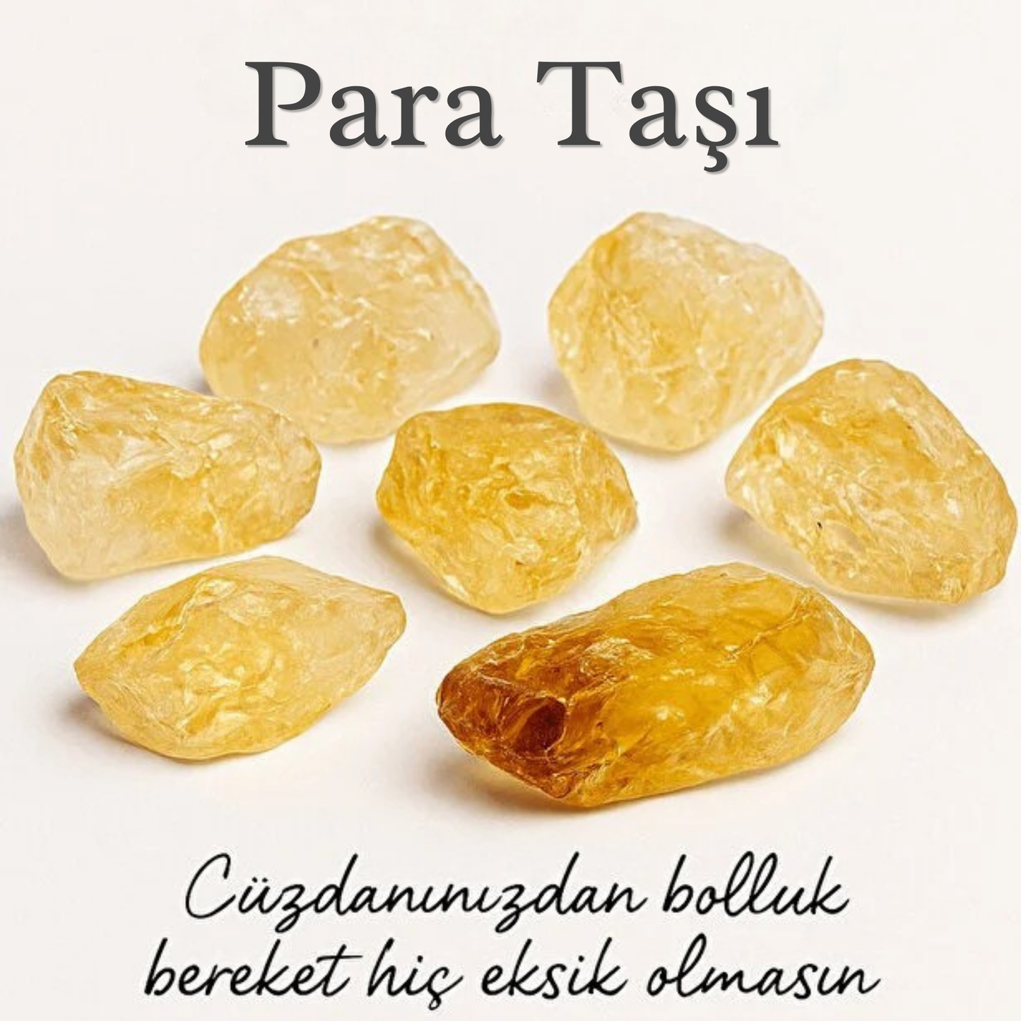 Bolvera Cüzdan Boy Para Taşı (3 Adet)